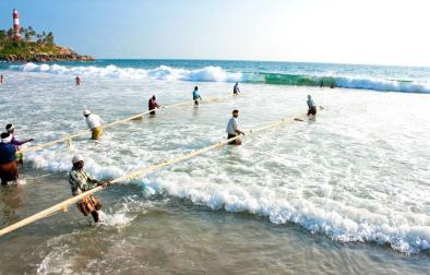 Cochin-Athirappilly-Cherai-Munnar-Thekkady-Alleppey-Kovalam-Trivandrum